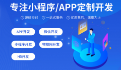 app开发软件定制商城系统直播打车代驾交友社交小程序制作