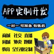 app开发软件定制商城系统直播打车代驾交友社交小程序制作