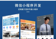 微信公众号小程序开发定制作推文排版设计商城餐饮外卖小游戏源码